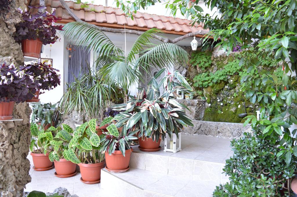 Family Hotel Sofi Sozopol Exterior foto